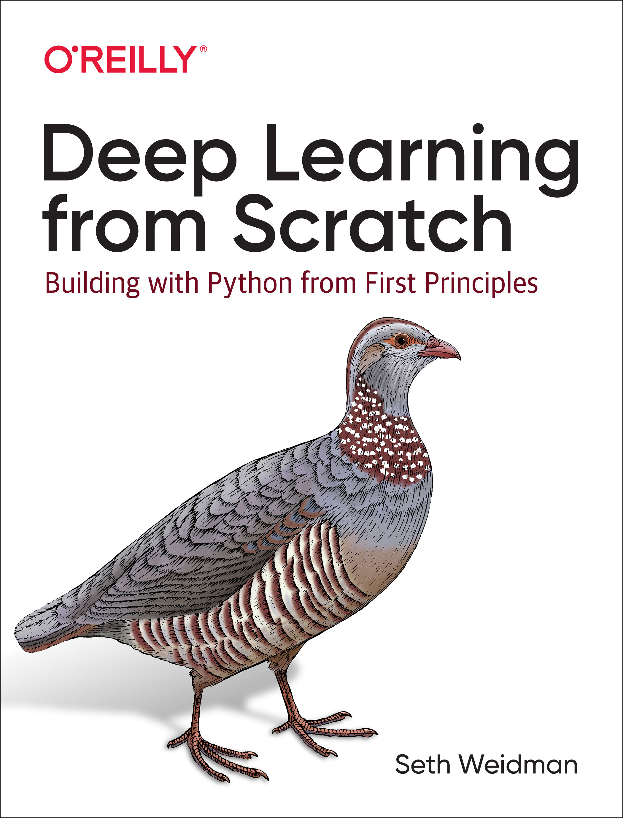 Deep Learning from Scratch: Building With Python From First Principles 1st Edition